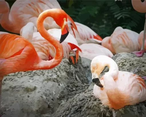 Chilean Flamingo Couple Diamond Painting