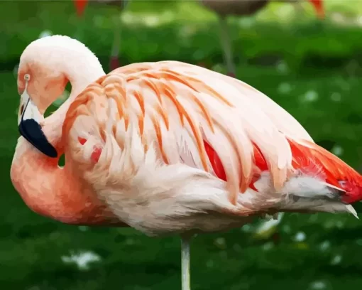 Chilean Flamingo Charm Diamond Painting