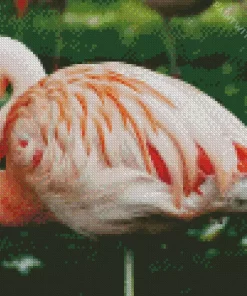 Chilean Flamingo Charm Diamond Painting