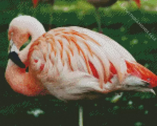 Chilean Flamingo Charm Diamond Painting