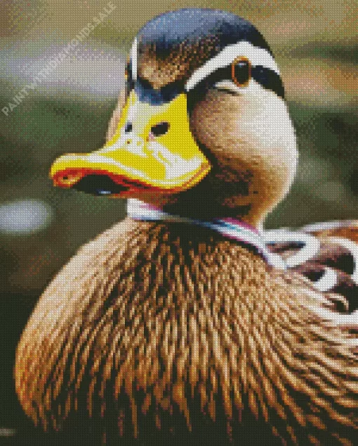 Duck Closeup Diamond Painting