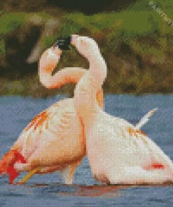 Flamingo Charm Diamond Painting