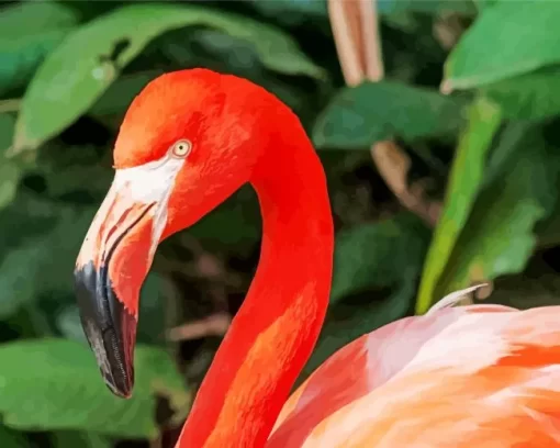 Flamingo Bird Diamond Painting