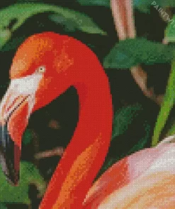 Flamingo Bird Diamond Painting