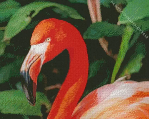 Flamingo Bird Diamond Painting