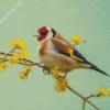 Goldfinch Bird Diamond Painting