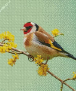 Goldfinch Bird Diamond Painting