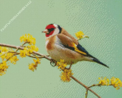 Goldfinch Bird Diamond Painting