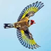 Goldfinch Bird Flying Diamond Painting