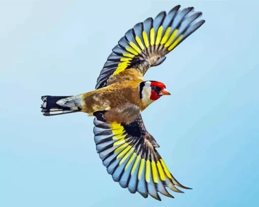 Goldfinch Bird Flying Diamond Painting