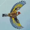 Goldfinch Bird Flying Diamond Painting