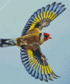 Goldfinch Bird Flying Diamond Painting