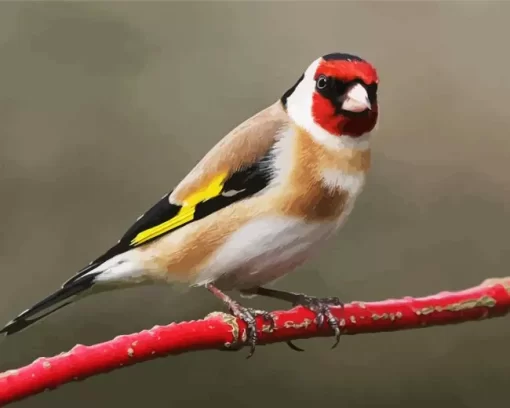 Goldfinch On A Red Branch Diamond Painting