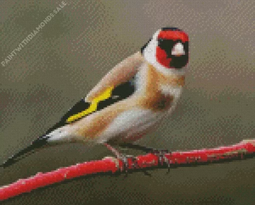 Goldfinch On A Red Branch Diamond Painting