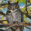 Great Horned Owl Diamond Painting