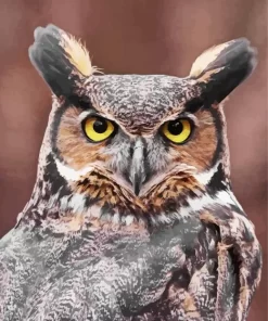 Great Horned Owl Closeup Diamond Painting