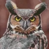 Great Horned Owl Closeup Diamond Painting