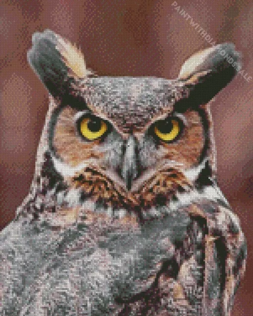 Great Horned Owl Closeup Diamond Painting