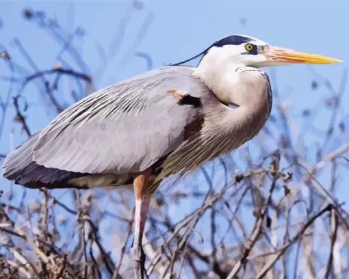 Great Blue Heron Diamond Painting