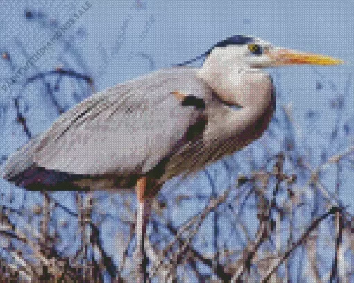 Great Blue Heron Diamond Painting