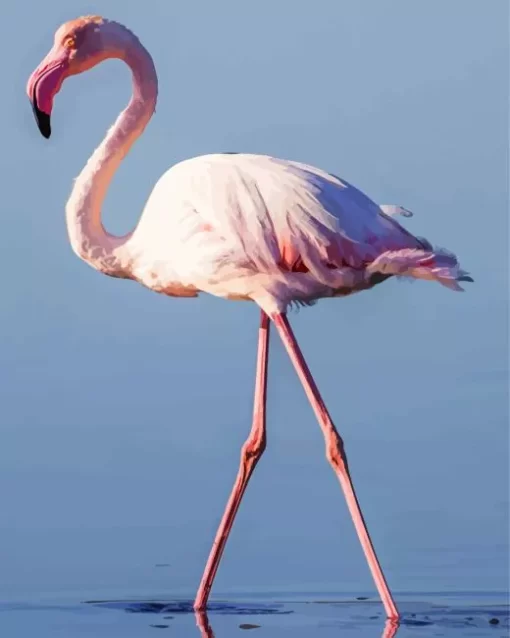 Greater Flamingo Camargue Diamond Painting