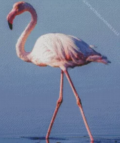 Greater Flamingo Camargue Diamond Painting