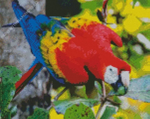 Greenwing Macaws Diamond Painting