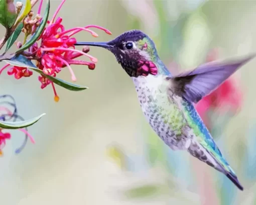 Hummingbirds And Flowers Diamond Painting