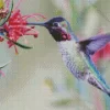 Hummingbirds And Flowers Diamond Painting