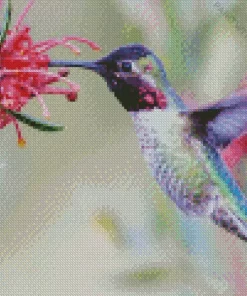 Hummingbirds And Flowers Diamond Painting