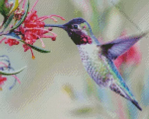 Hummingbirds And Flowers Diamond Painting