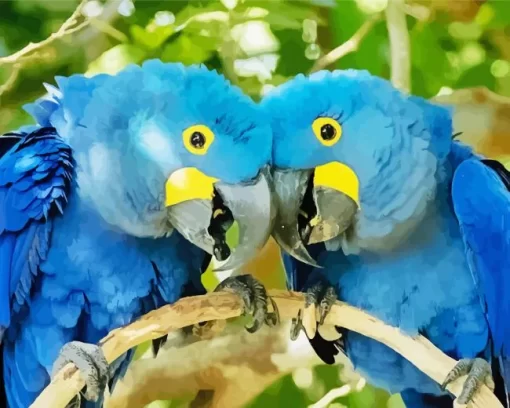 Hyacinth Macaw Couples Diamond Painting