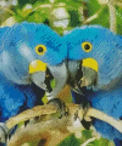 Hyacinth Macaw Couples Diamond Painting