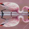 Jamess Flamingo Diamond Painting