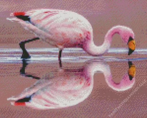 Jamess Flamingo Diamond Painting