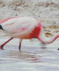 Jamess Flamingo Bird Diamond Painting