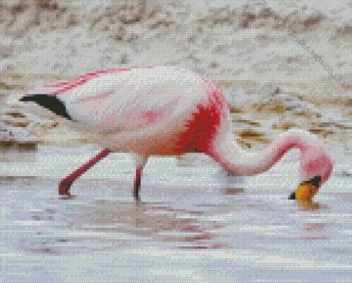 Jamess Flamingo Bird Diamond Painting