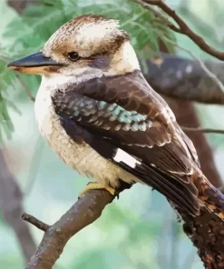 Kookaburra Diamond Painting