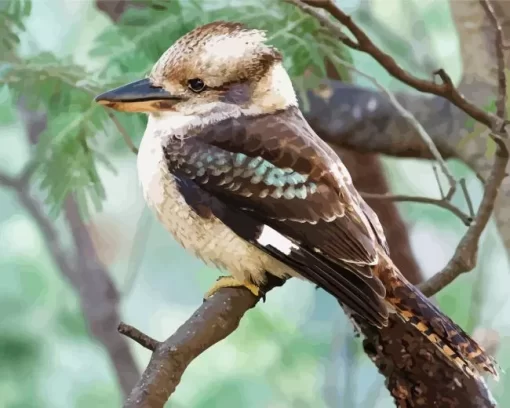 Kookaburra Diamond Painting