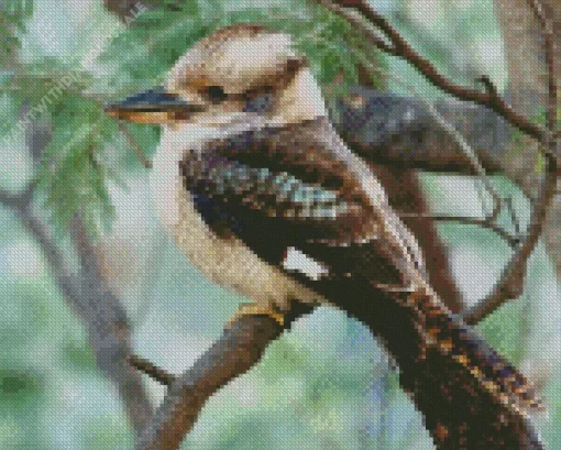 Kookaburra Diamond Painting