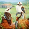 Kookaburra Pair Artwork Diamond Painting