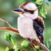 Kookaburra Art Diamond Painting