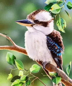 Kookaburra Art Diamond Painting