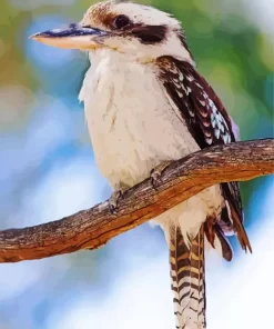 Kookaburra Bird Diamond Painting