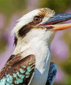 Kookaburra Bird Close Up Diamond Painting