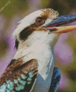 Kookaburra Bird Close Up Diamond Painting