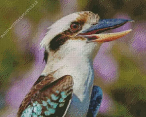 Kookaburra Bird Close Up Diamond Painting