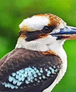 Kookaburra Close Up Diamond Painting