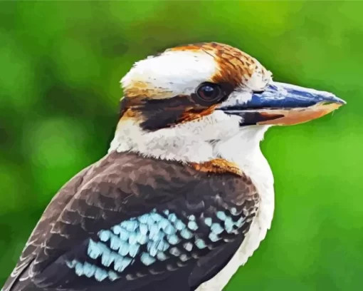 Kookaburra Close Up Diamond Painting