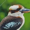 Kookaburra Close Up Diamond Painting